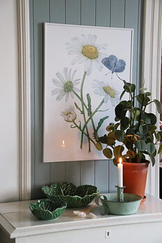 ART PRINT DAISIES 50x70