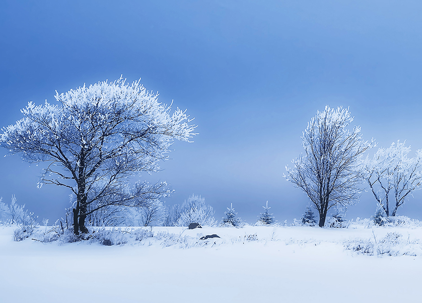 Photo Art - Winterland 