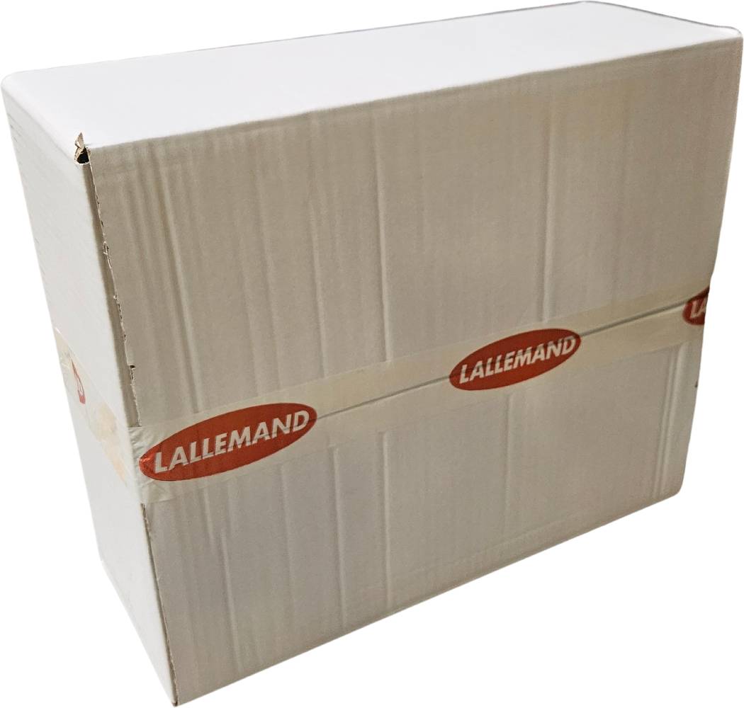 20-pack, Abbaye (Lallemand) 500 g