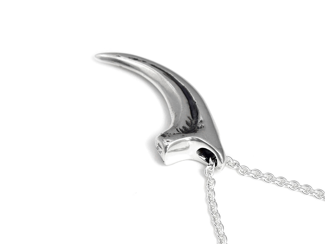 Velociraptorklo Halsband, Dinosaurie Smycke i Silver - 3