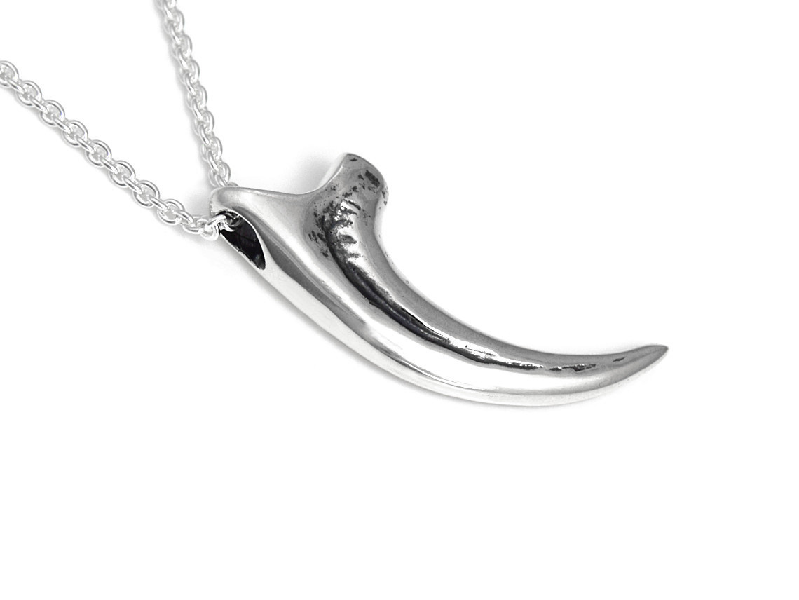 Velociraptorklo Halsband, Dinosaurie Smycke i Silver - 4