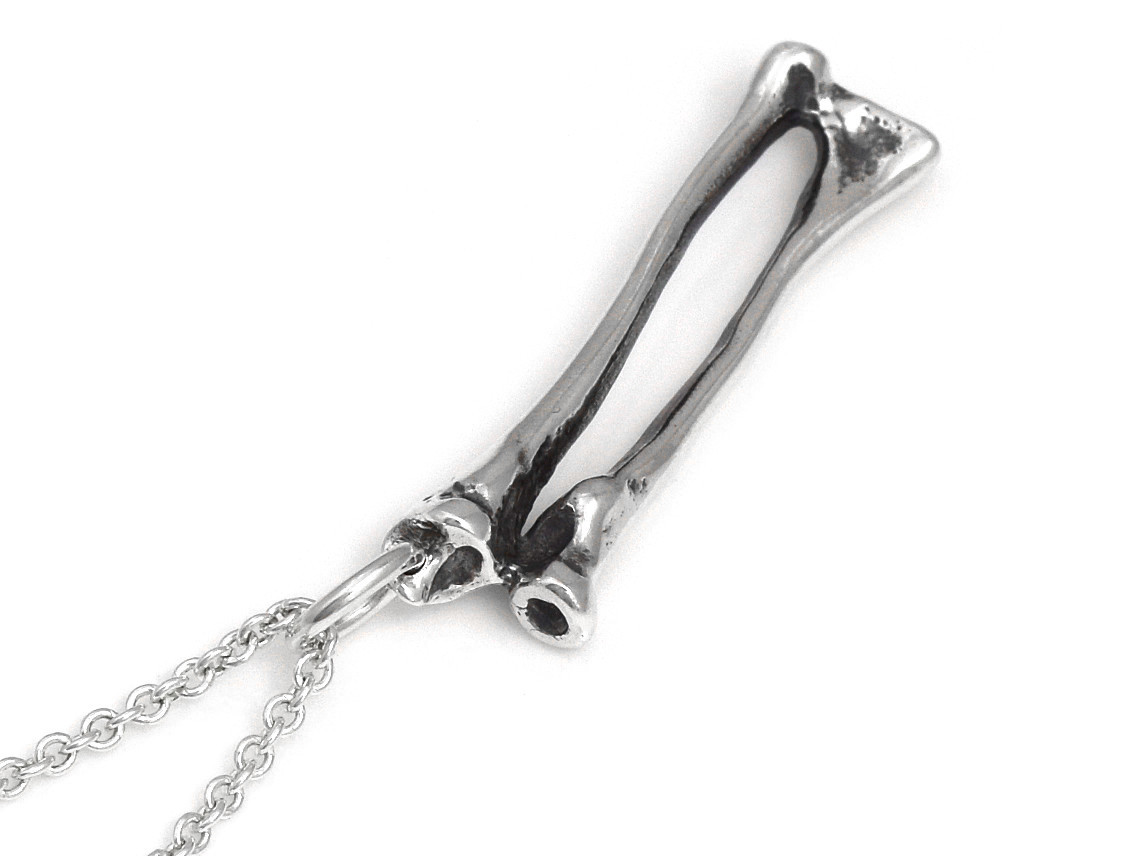 Radius och Ulna Halsband, Anatomi Smycke i Silver - 4