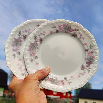 Maria Åkerbär assiett från Rosenthal 