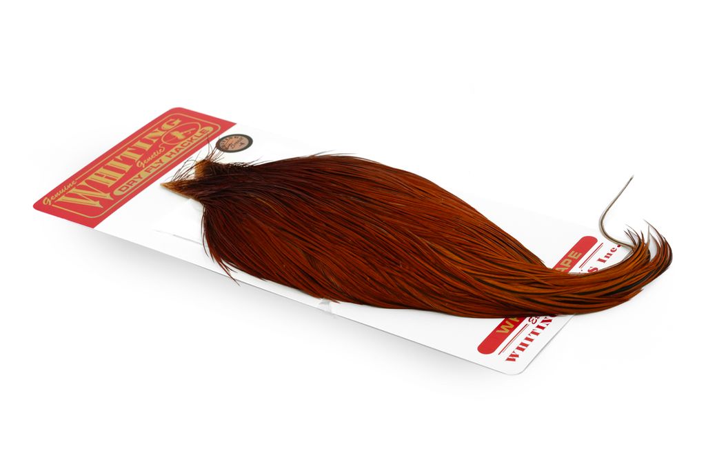 Whiting Red Label Dryfly Bronze Grade - 6