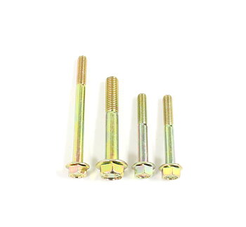 Screw kit, timing belt cover B21/B23