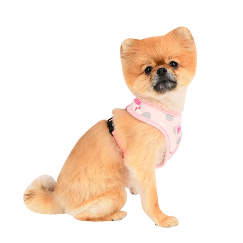 Pinkaholic Lapine Sele Rosa - 5