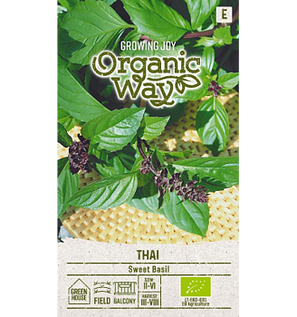 Söt thai basilika "sweet basil" Organic Way