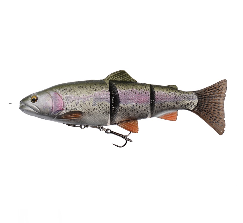 4D Line Thru Trout 25cm/180g - 2