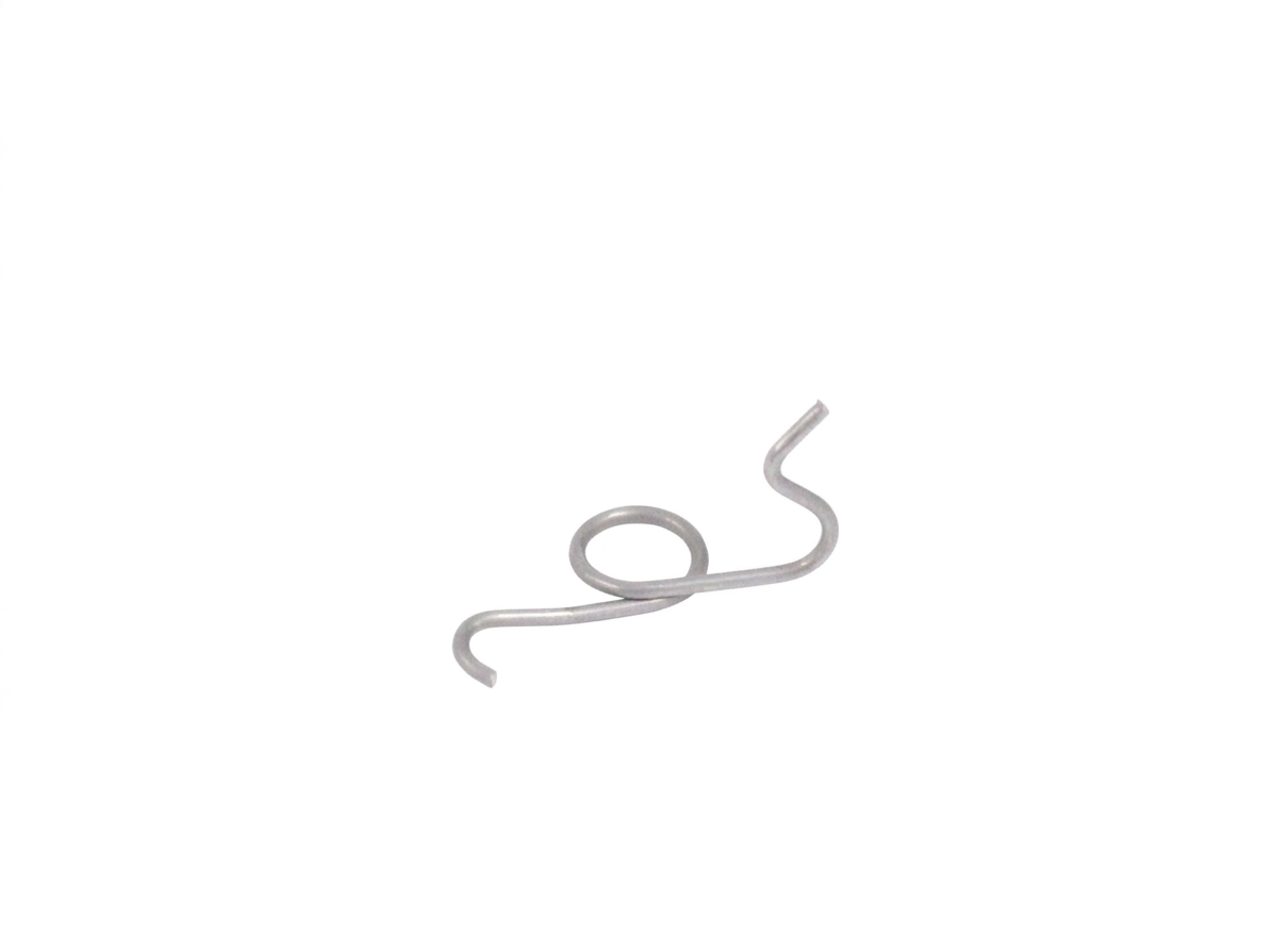 Spring, parking brake shoes