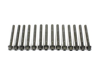 Bolt kit, cylinder head (D24)