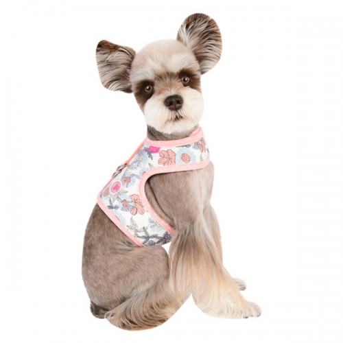 Pinkaholic Zinnia Sele Modell J Ivory Small - 5