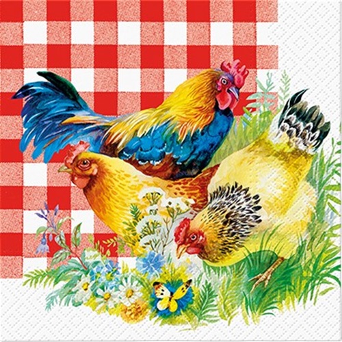 Hönsservett med rutig bakgrund, 33x33 cm