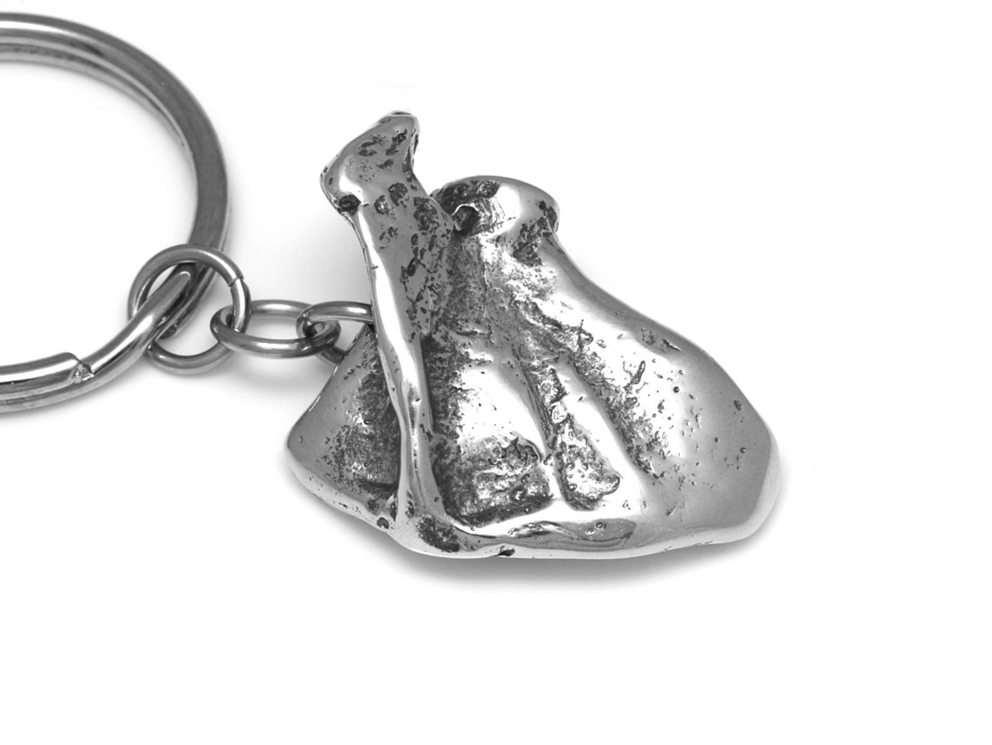 Skulderblad Nyckelring, Skelett Accessoar, Anatomi Nyckelhållare i Tenn och Stål - 3