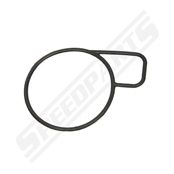 Gasket throttle body (34)