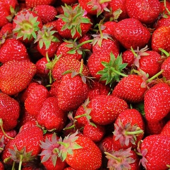 AlterHedens Jordgubb & Rabarbermarmelad, 320g, 12st/låda - 4