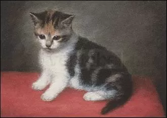 Miss Ann White's Kitten (1790), Postcard