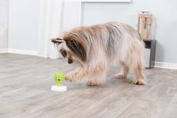 Trixie Lick'N'Snack Boll Ø 8-11cm Grön/Vit - 11