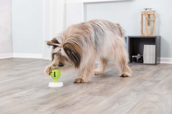 Trixie Lick'N'Snack Boll Ø 8-11cm Grön/Vit - 12