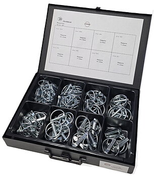 Ringsprintar