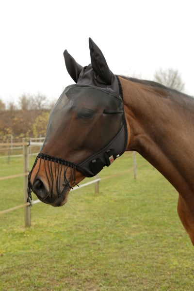 Covalliero Fly Mask with Ear Protection and Fringes - 6
