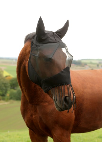 Covalliero Fly Mask with Ear Protection and Fringes - 5