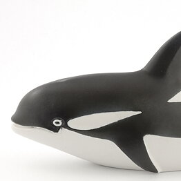 Paul Hoff (Arctic 1980s) Outstanding Orca Whale 28/13