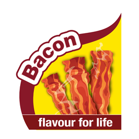 Nylabone Puppy Bacon Keys / M - 4