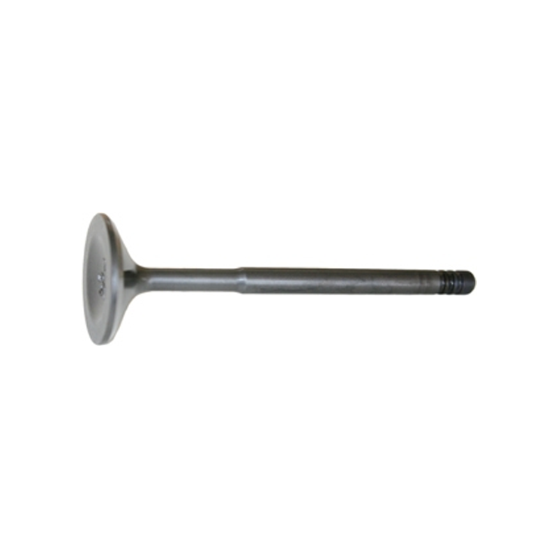 Exhaust valve