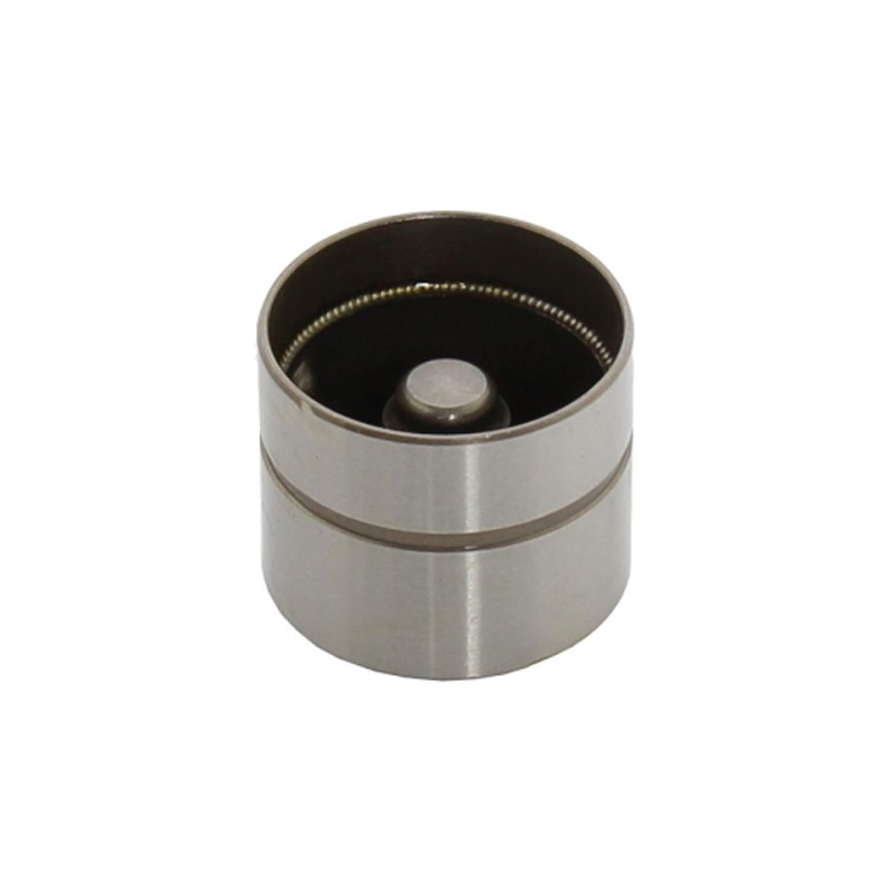 Valve lifter (18)