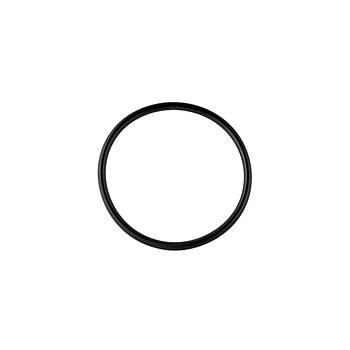 Thermostat gasket