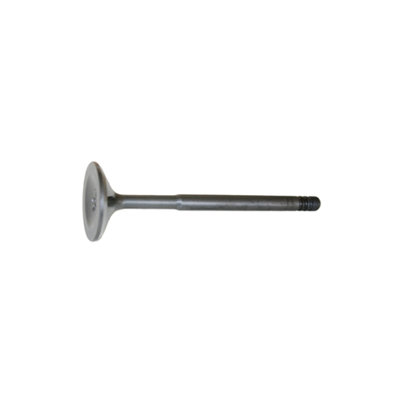 Intake valve (19)