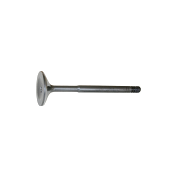 Intake valve (19)