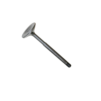 Exhaust valve (19) 