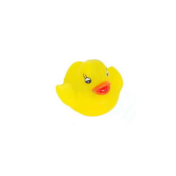 Blinking Duck