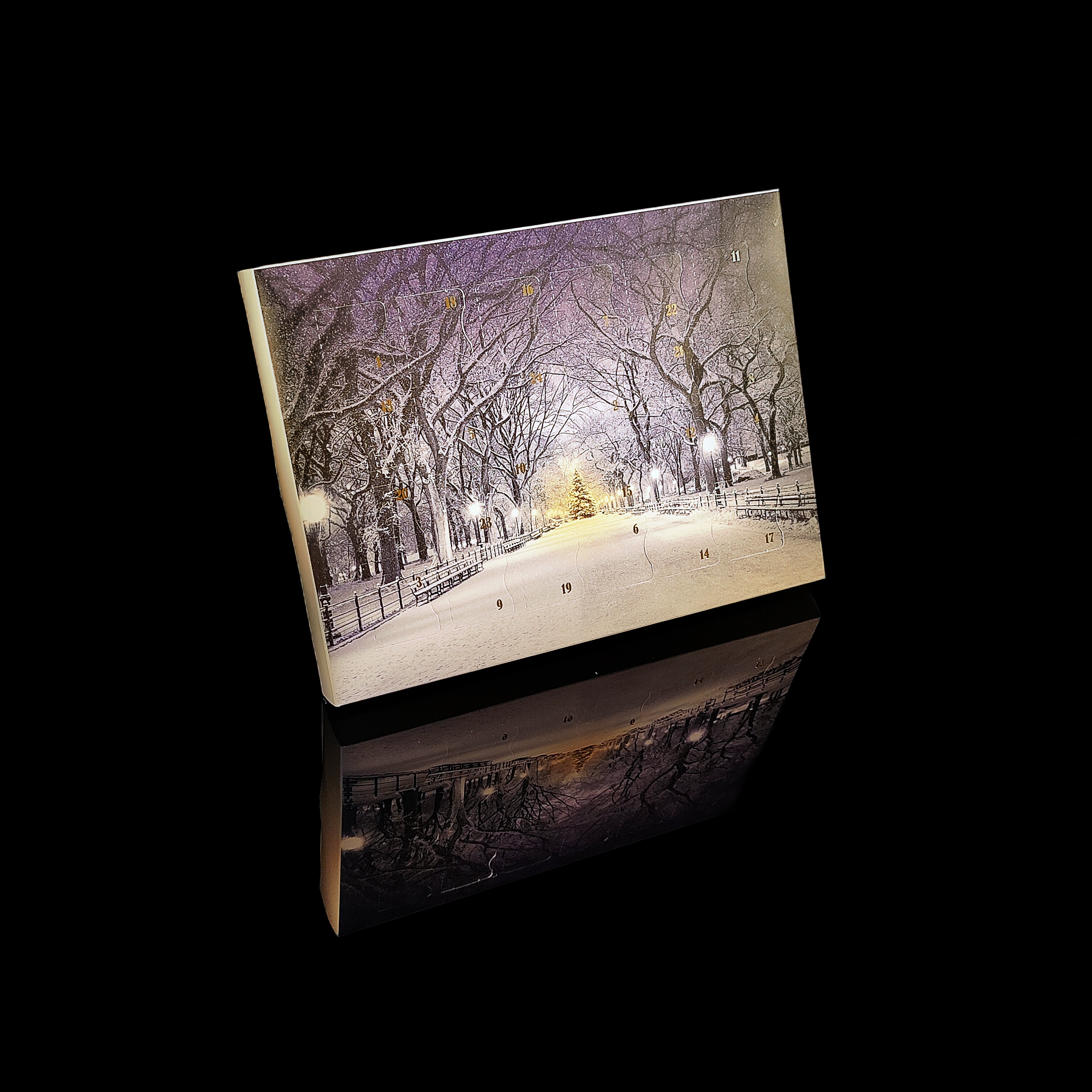 Julekalender premium, vinterpark