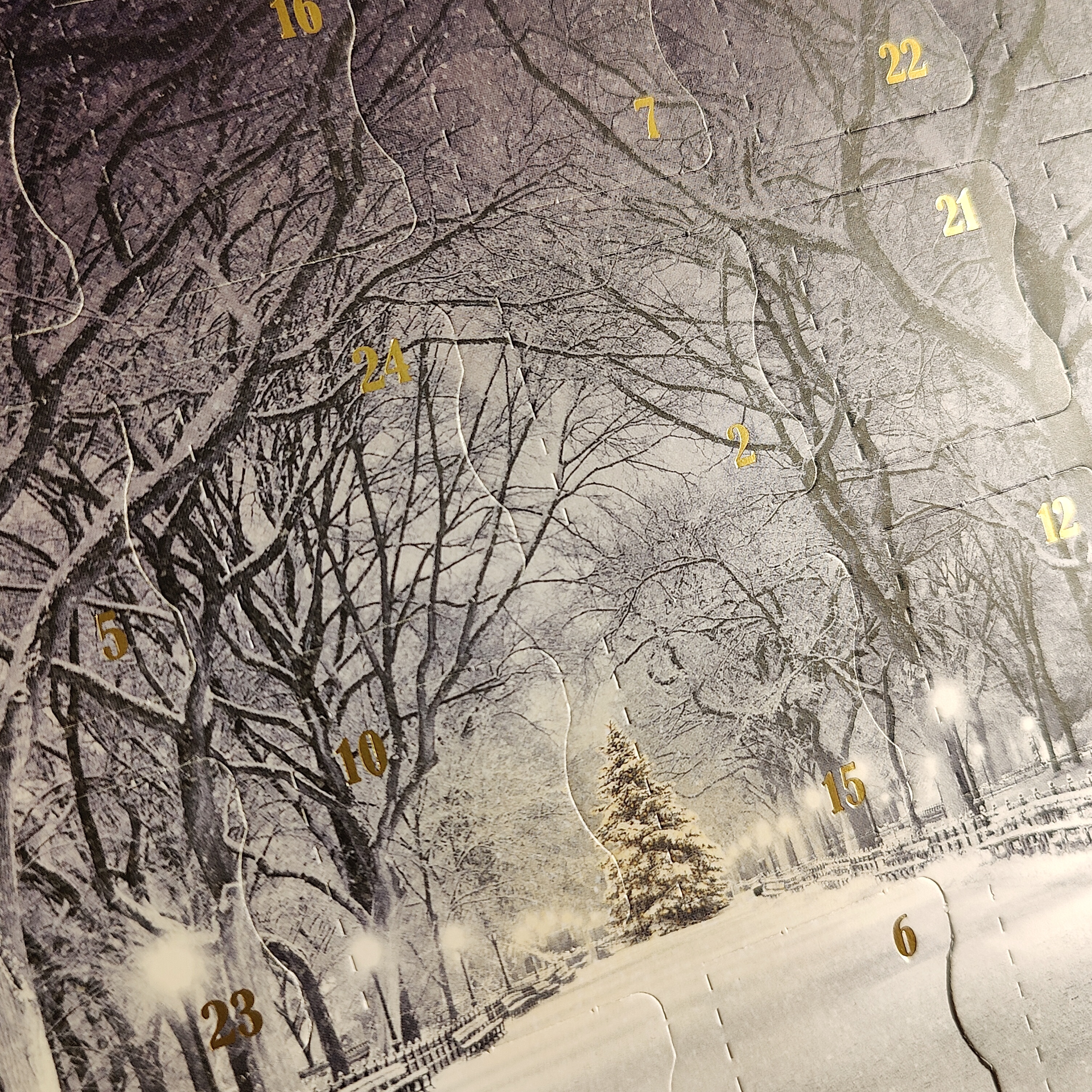 Julekalender premium, vinterpark - 3