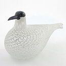 オイバ・トイッカ  数量限定！ Species of Tern アジサシ ガラスの鳥 オブジェ 1988年 28/16cm
