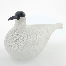 Oiva Toikka (1988) Species of Tern (Räyskä) Limited Edition Glass Bird 28/16 cm