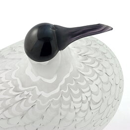 オイバ・トイッカ  数量限定！ Species of Tern アジサシ ガラスの鳥 オブジェ 1988年 28/16cm
