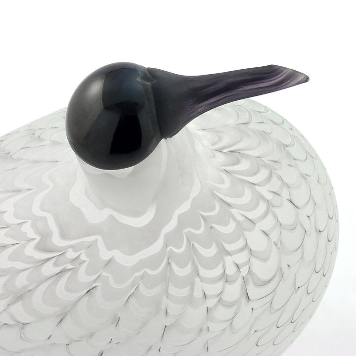 オイバ・トイッカ  数量限定！ Species of Tern アジサシ ガラスの鳥 オブジェ 1988年 28/16cm
