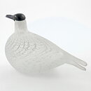 オイバ・トイッカ  数量限定！ Species of Tern アジサシ ガラスの鳥 オブジェ 1988年 28/16cm