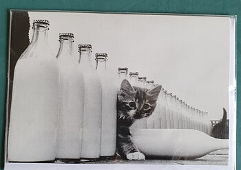 Dubbelkort, " Katt bland mjölkflaskor""