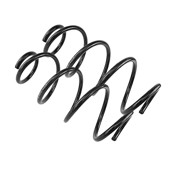 Coil springs front (10)
