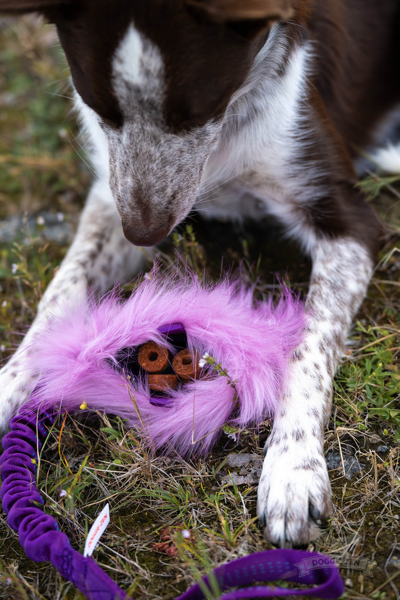 Bungee Crinkle-n-Treat Tug Fake Fur M - 4