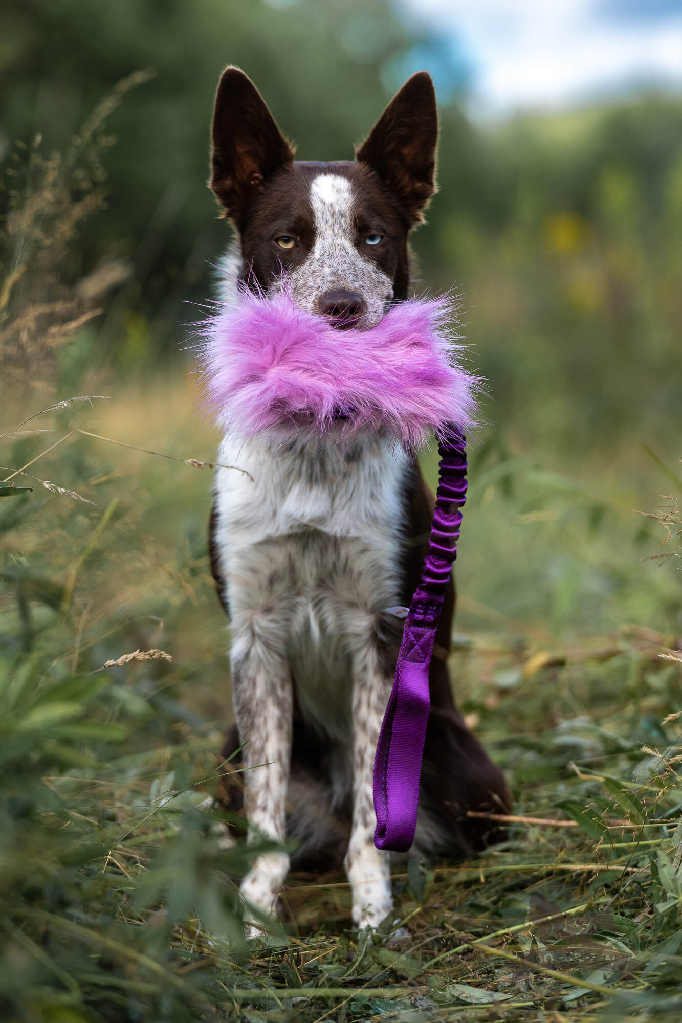 Bungee Crinkle-n-Treat Tug Fake Fur M - 5