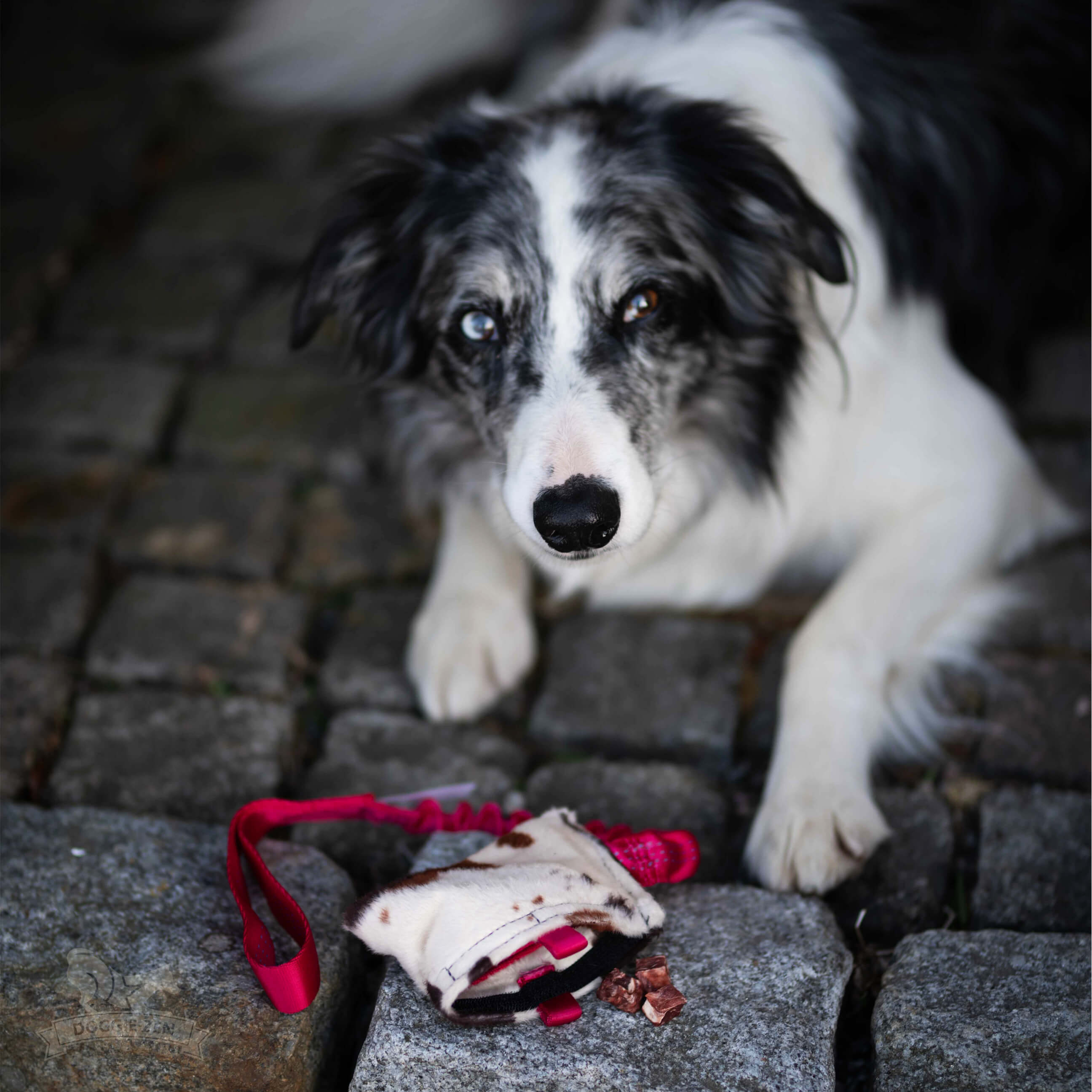 Bungee Crinkle-n-Treat Tug Fake Fur M - 11