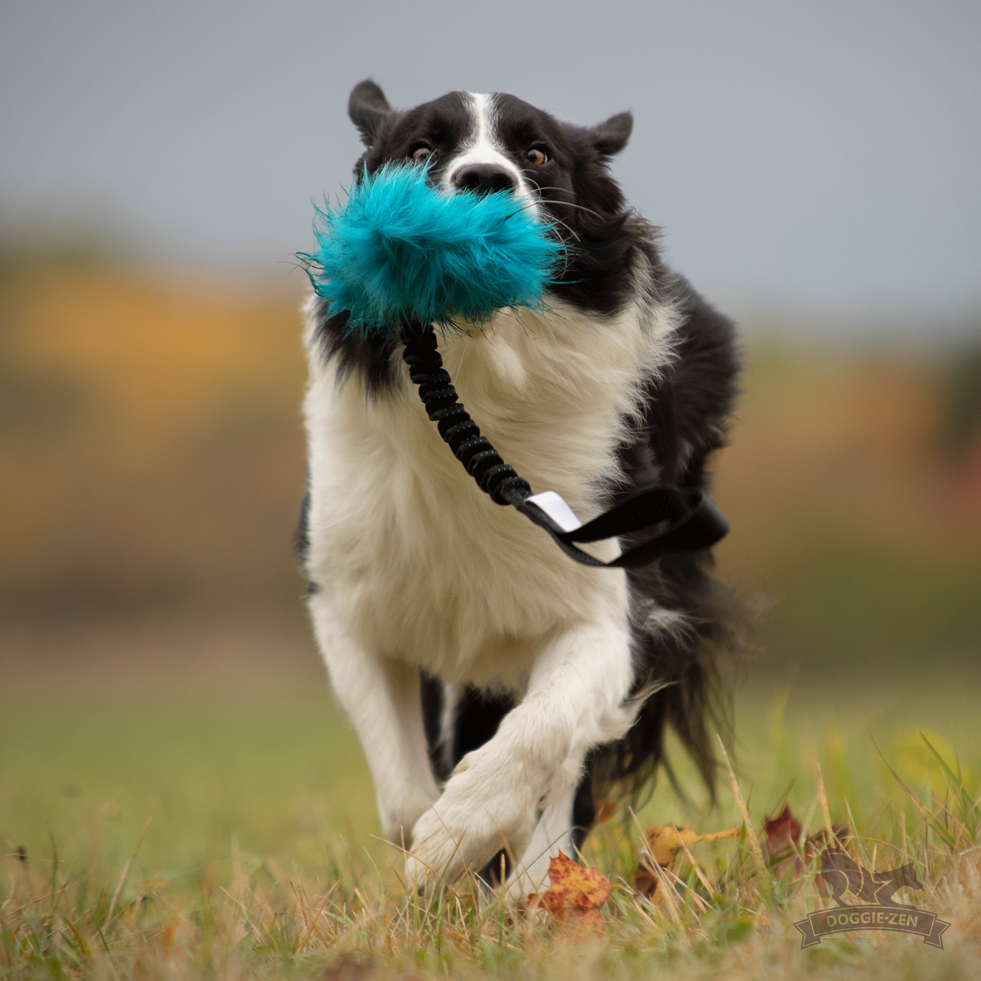 Bungee Crinkle-n-Treat Tug Fake Fur L - 8