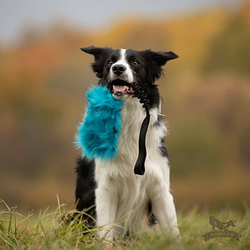 Bungee Crinkle-n-Treat Tug Fake Fur L