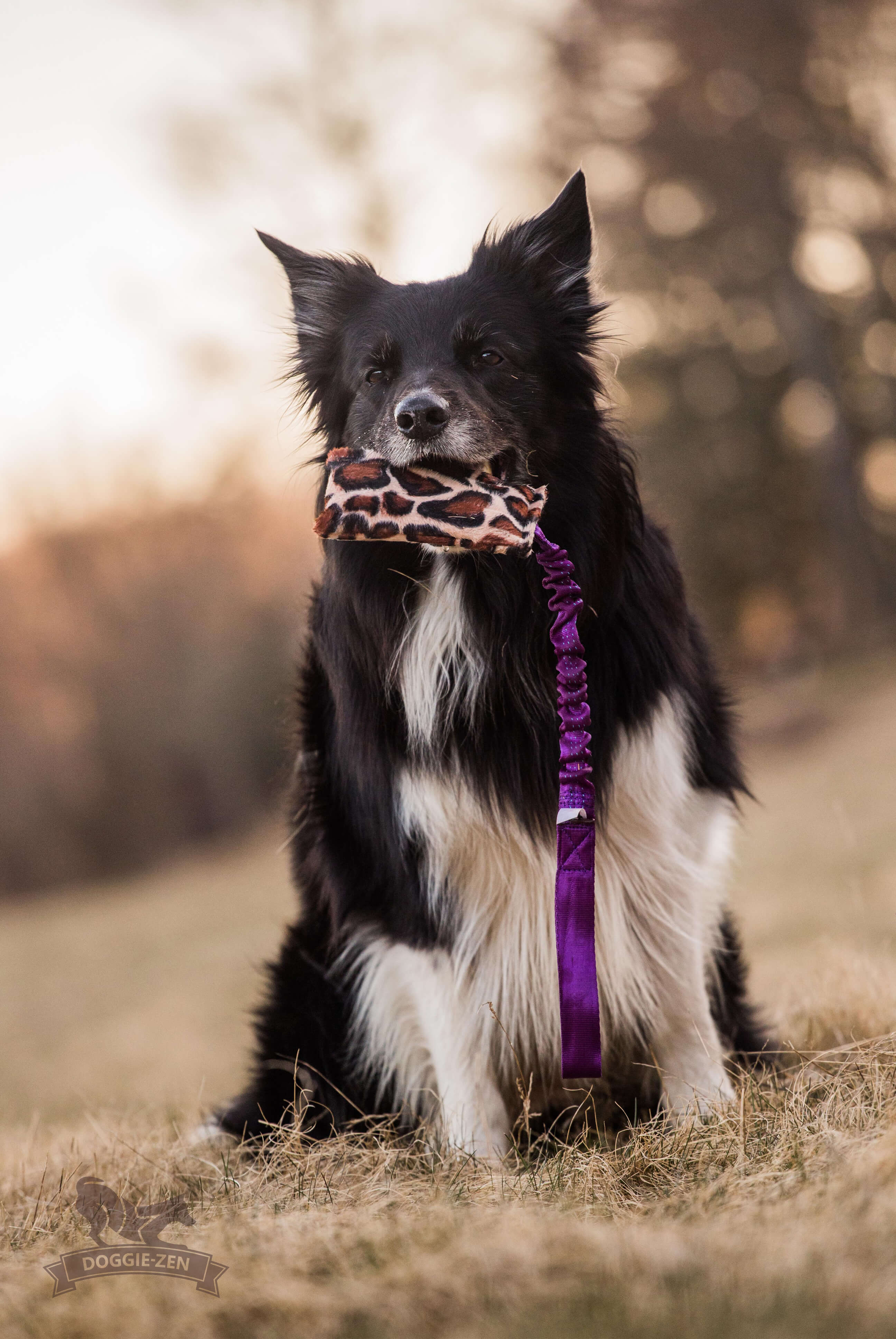 Bungee Crinkle-n-Treat Tug Fake Fur L - 5