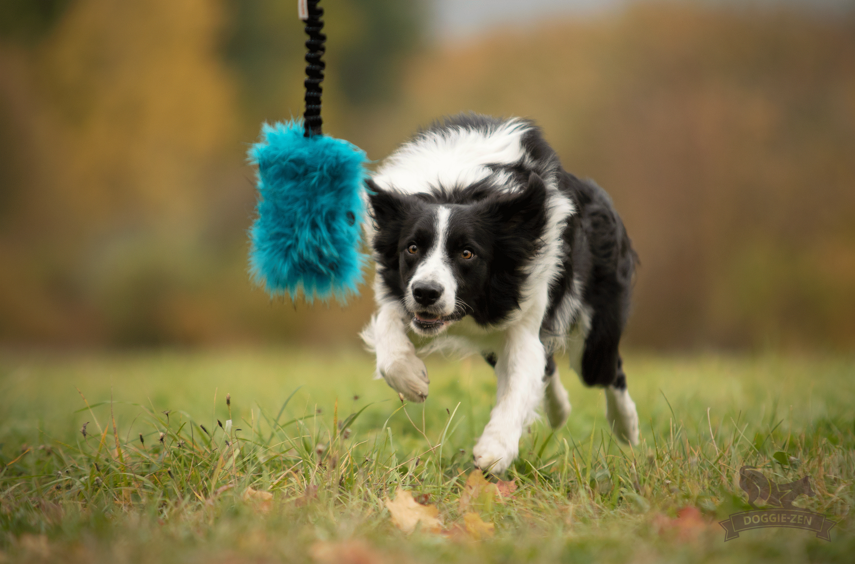 Bungee Crinkle-n-Treat Tug Fake Fur L - 4